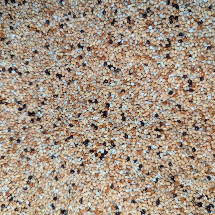 Millet mix for birds