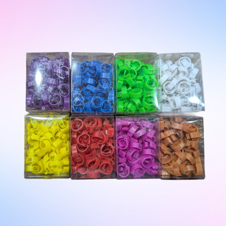 Pigeon Plastic Clip Foot Ring T1.1