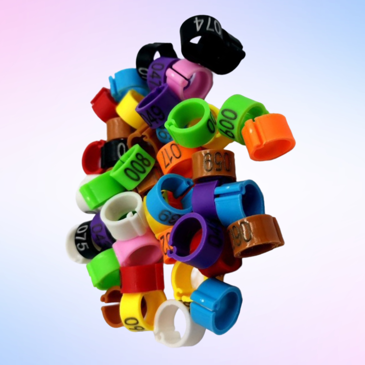 Pigeon Plastic Clip Foot Ring T1