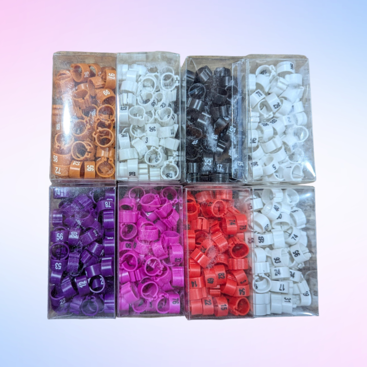 Multicolor Plastic Pigeon Clip Rings 2