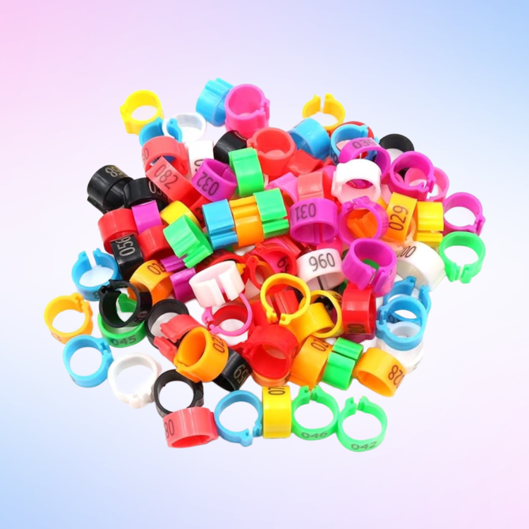 Multicolor Plastic Pigeon Clip Rings 1