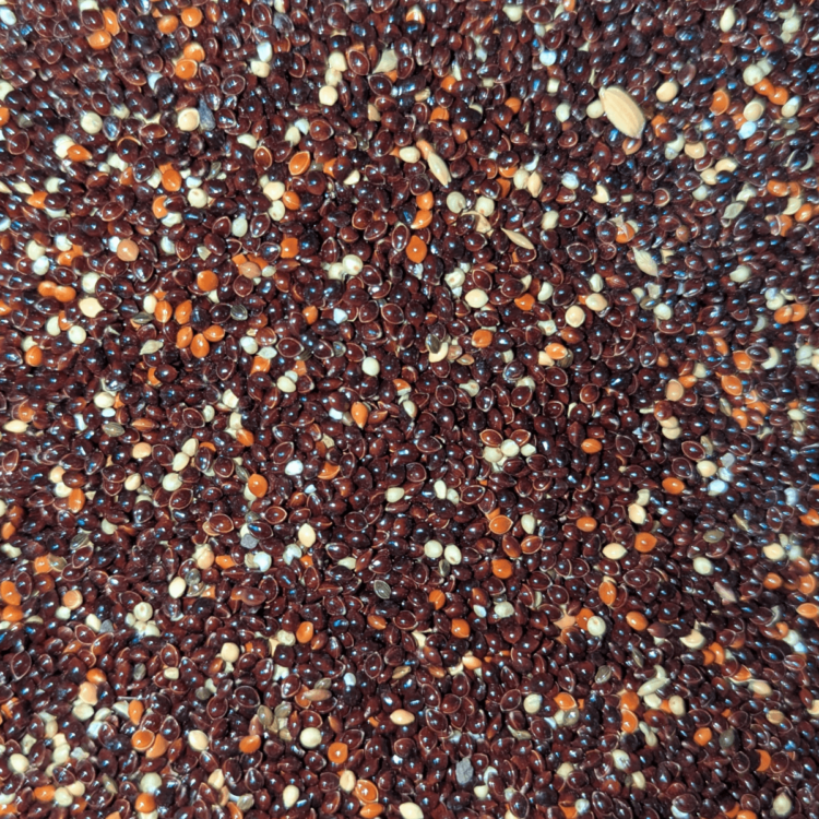 Black Millet for Birds 2