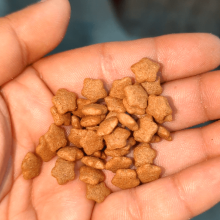 Loose Cat Food Star Shape 1